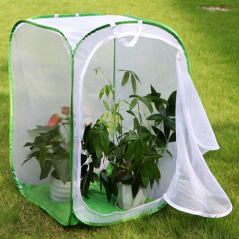 RESTCLOUD 36" Large Monarch Butterfly Habitat, Giant Collapsible Insect Mesh Cage Terrarium Pop-up 24 x 24 x 36 Inches - Image 4